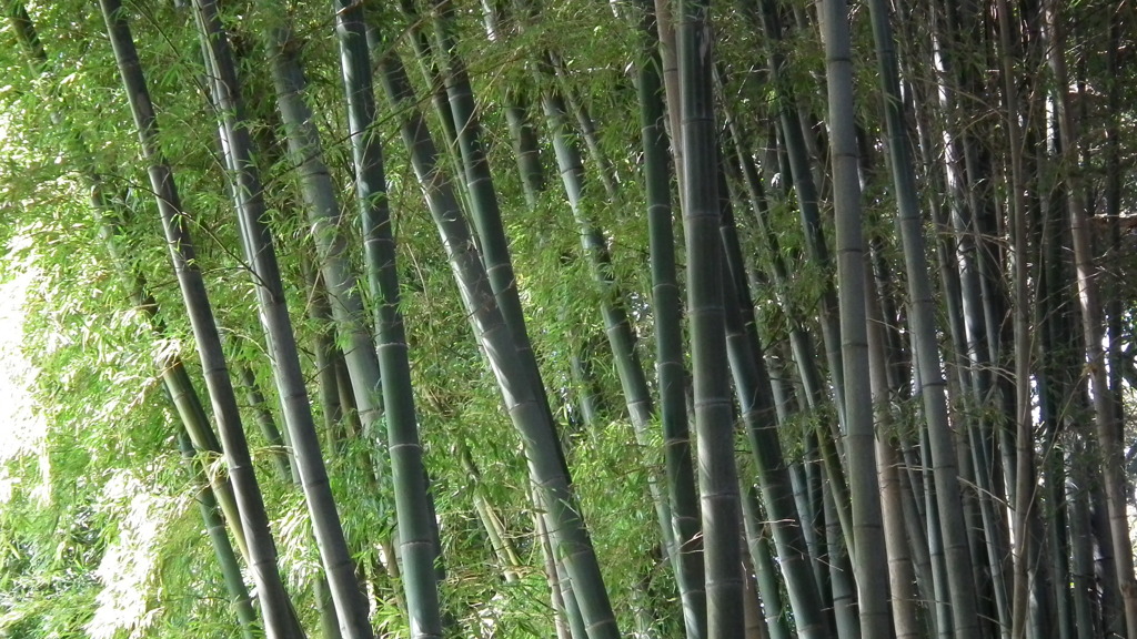 2011/04