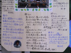 CIMG7397