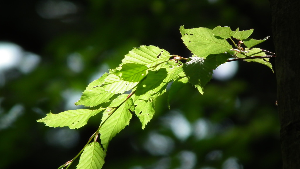 2011/05　kitayamakouen