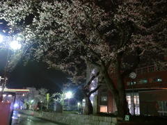 村岡さん高瀬さん送別会