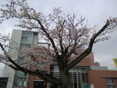 村岡さん高瀬さん送別会