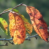 DSCF1143