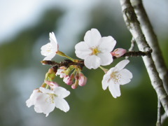 ’10.04-ryumon no taki