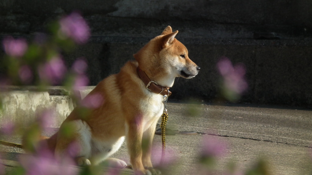 2011年4月13日