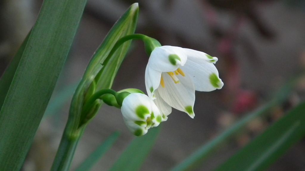 2011/04