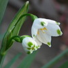 2011/04