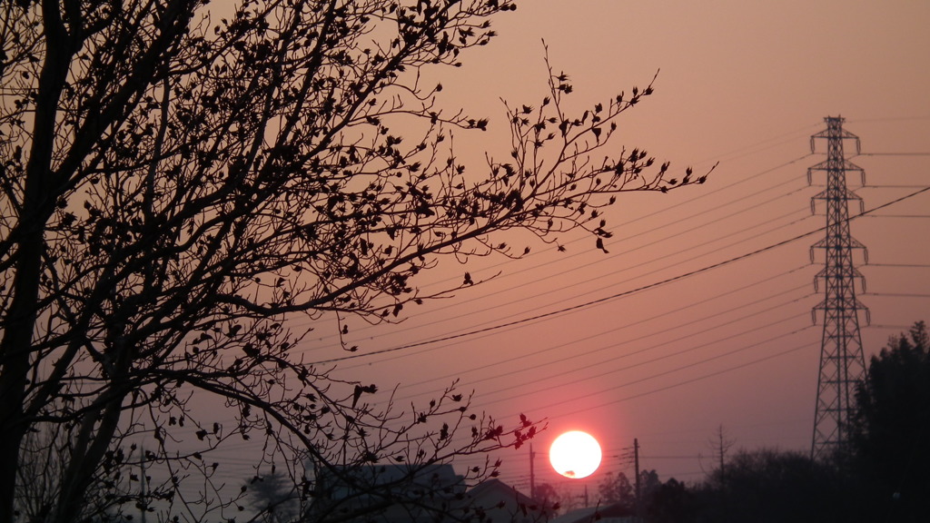 花木センターの夕日