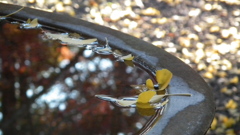 DSCF3221