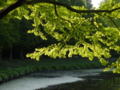 '10.05-mito-syokubutuen