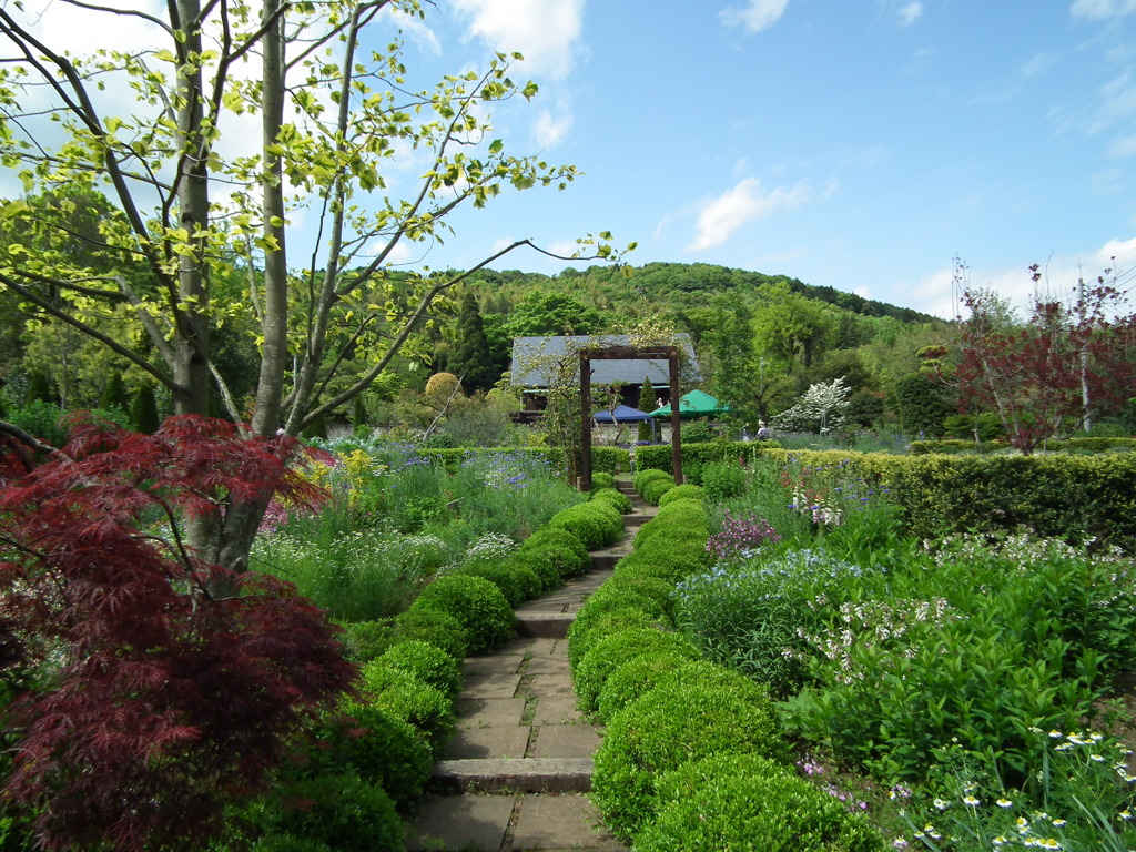 '10.05-Flower-hill-hanazono