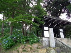 '10.07-amabiki-kannon