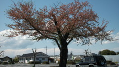 2011年4月24日