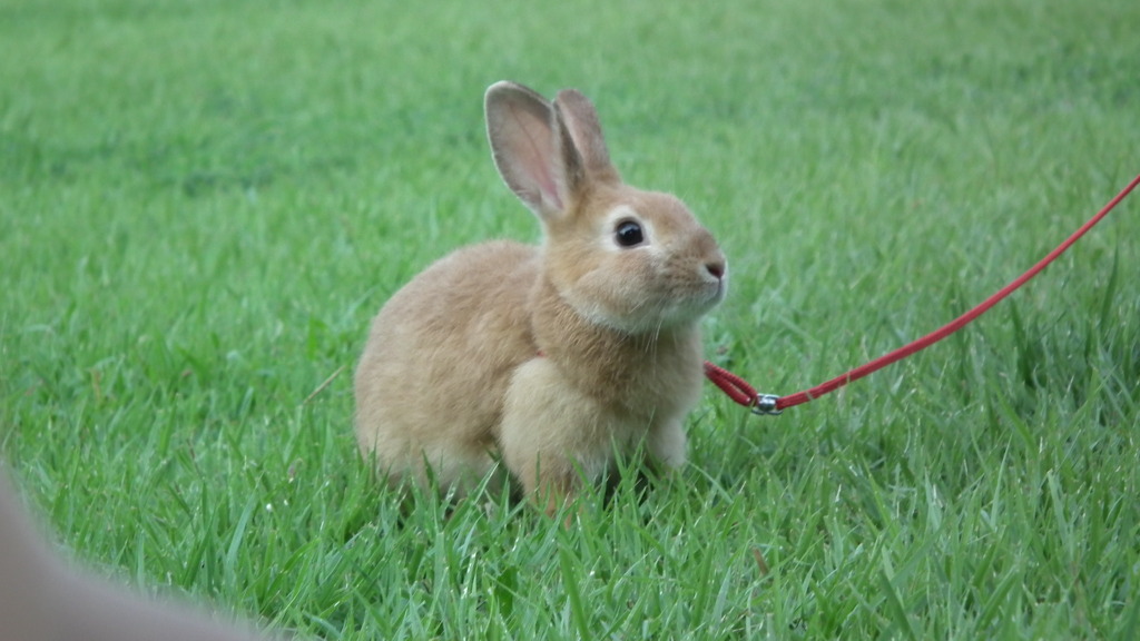 ’10.08-益子～那須