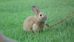 ’10.08-益子~那須