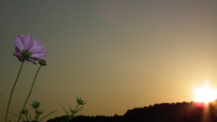 DSCF1234
