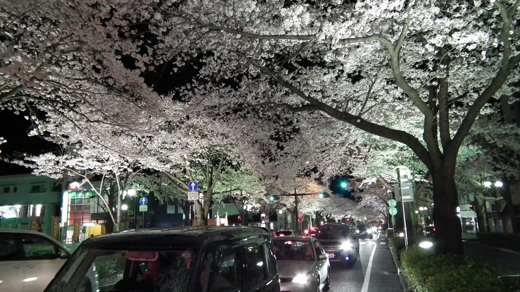 DSCF0735