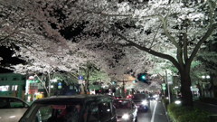 DSCF0735