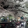 DSCF0735