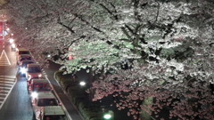 DSCF0666