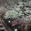 DSCF0666