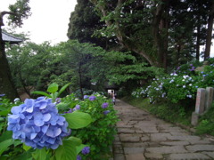 '10.07-amabiki-kannon