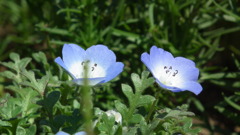 2011/04