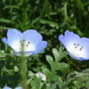 2011/04