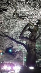 DSCF0741