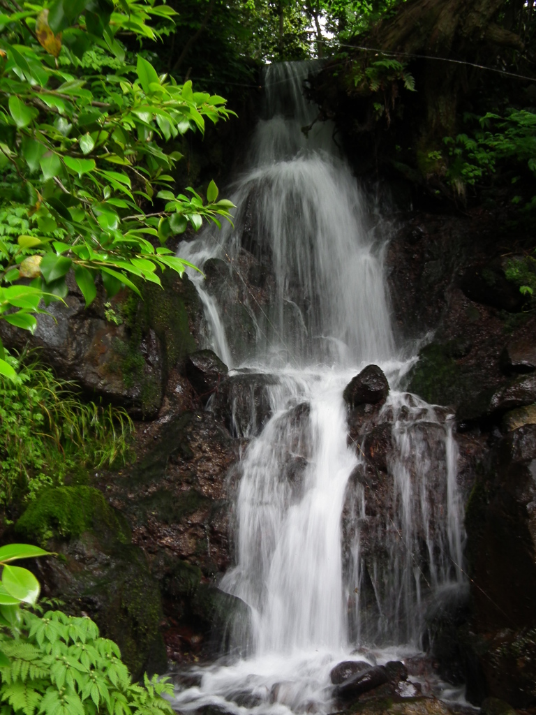 ’10/05-myounji-botan