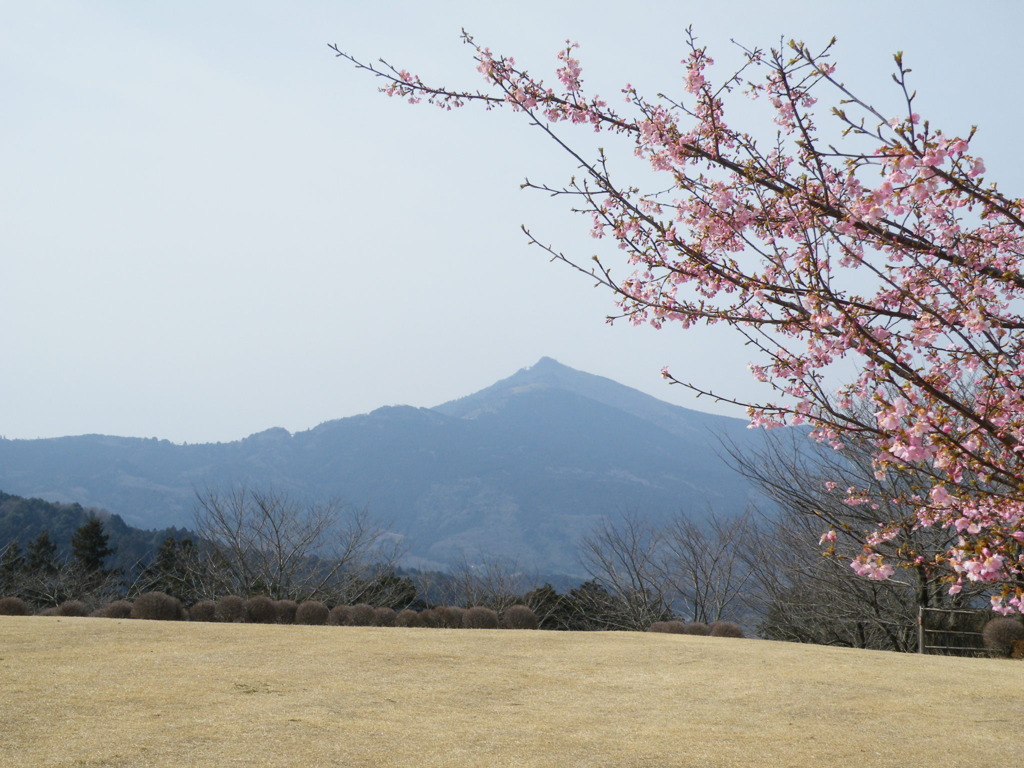 '09.02-ｔｕｋｕｂａｙａｍａ