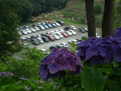 '10.07-amabiki-kannon