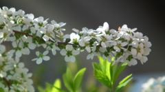 2011/04