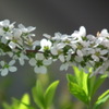 2011/04