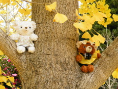 ’09.11-ｔａｒｏ ｔｏ ｈａｎａｋｏ-2