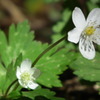 2011/04