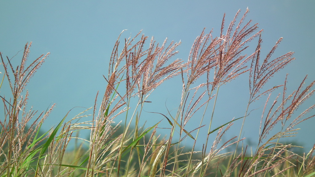 夏休み-別れたあと