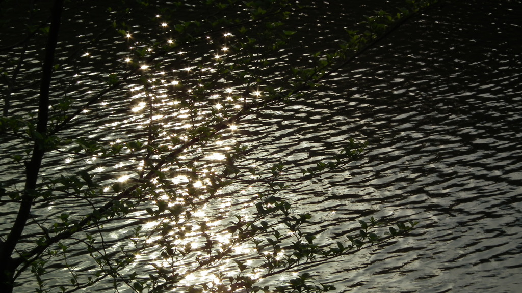 2011/05　Kitayamakouen