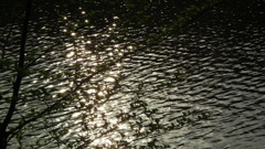 2011/05　Kitayamakouen