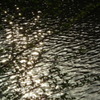 2011/05　Kitayamakouen