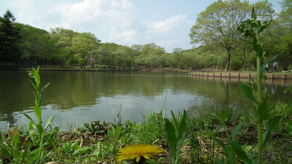 2011/05　kitauamakouen