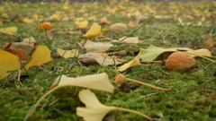 DSCF2634