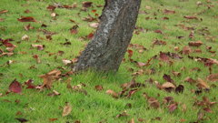 DSCF3590