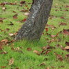 DSCF3590