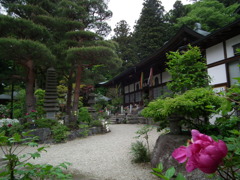 ’10/05-myounji-botan