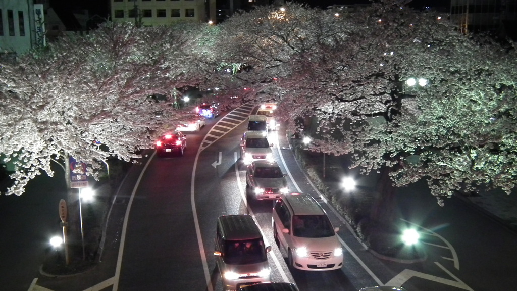 DSCF0685