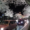 02DSCF0630