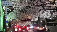 DSCF0698