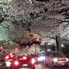 DSCF0698