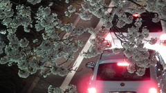 DSCF0670