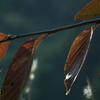 nanatudoukouen